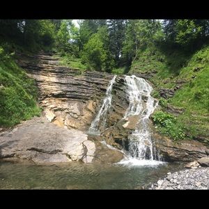 Meet your Posher, Chandler